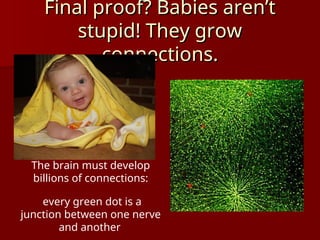 Final proof? Babies aren’t
Final proof? Babies aren’t
stupid! They grow
stupid! They grow
connections.
connections.
The brain must develop
billions of connections:
every green dot is a
junction between one nerve
and another
 