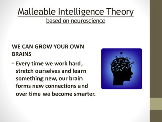 Malleable Intelligence Theory
based on neuroscience
WE CAN GROW YOUR OWN
BRAINS
• Every time we work hard,
stretch ourselves and learn
something new, our brain
forms new connections and
over time we become smarter.
 