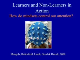 Learners and Non-Learners in
Action
How do mindsets control our attention?
MangelsMangels, Butterfield, Lamb, Good &, Butterfield, Lamb, Good & DweckDweck, 2006, 2006
 