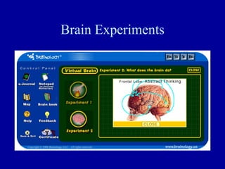 Brain Experiments
 
