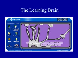 The Learning Brain
 