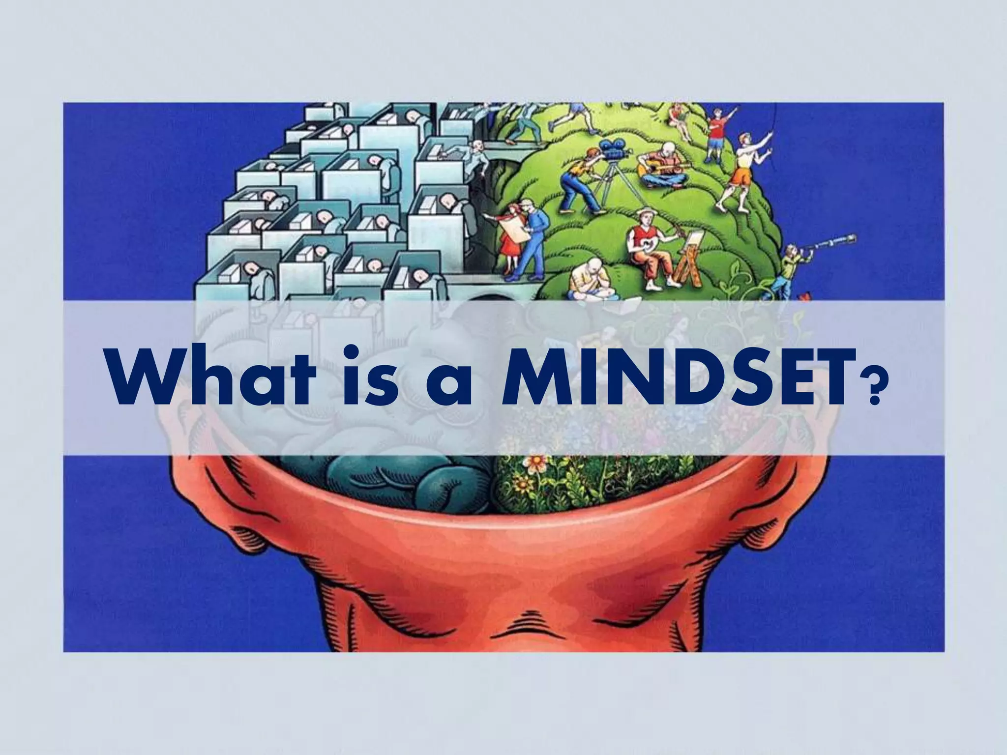 What is a MINDSET?
 