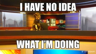 @lissijean@lissijean
 