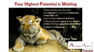 Mindfulness Training
Your Highest Potential is Waiting
Start Your
‘Hope you discover Your Self
Get Inspired to Live more Passionate
& Sensitive Life
Learn how to Listen to Your Soul
Finding your-own space in this Matrix
of Life. Making a genuine contribution
to Gaia and Humanity.’ Nuit
 