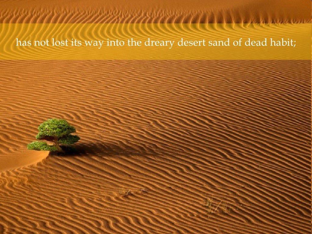 Has Not Lost Its Way