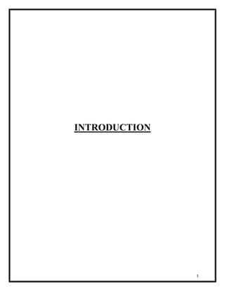 1 
INTRODUCTION 
 
