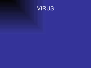 VIRUS 