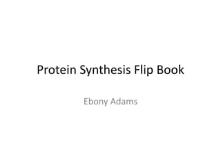Protein Synthesis Flip Book
Ebony Adams

 