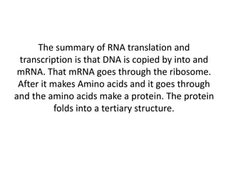 The summary of RNA translation and
transcription is that DNA is copied by into and
mRNA. That mRNA goes through the ribosome.
After it makes Amino acids and it goes through
and the amino acids make a protein. The protein
folds into a tertiary structure.

 