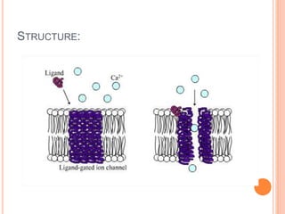 STRUCTURE:
 