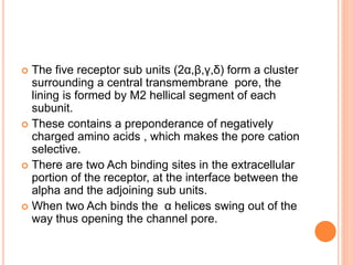  The five receptor sub units (2α,β,γ,δ) form a cluster
surrounding a central transmembrane pore, the
lining is formed by M2 hellical segment of each
subunit.
 These contains a preponderance of negatively
charged amino acids , which makes the pore cation
selective.
 There are two Ach binding sites in the extracellular
portion of the receptor, at the interface between the
alpha and the adjoining sub units.
 When two Ach binds the α helices swing out of the
way thus opening the channel pore.
 