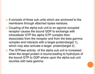  It consists of three sub units which are anchored to the
membrane through attached lipase residues.
 Coupling of the alpha sub unit to an agonist occupied
receptor causes the bound GDP to exchange with
intracellular GTP the alpha GTP complex then
dissociates from the receptor and from the beta gamma
complex and interacts with a target protein(target 1),
which may also activate a target protein(target 2) .
 The GTPase activity of the alpha sub unit is increased
when the target protein is bound,leading to hydrolysis of
the bound GTP to GDP where upon the alpha sub unit
reunites with beta gamma.
 