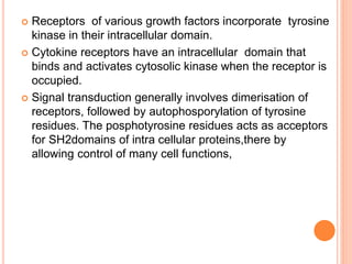  Receptors of various growth factors incorporate tyrosine
kinase in their intracellular domain.
 Cytokine receptors have an intracellular domain that
binds and activates cytosolic kinase when the receptor is
occupied.
 Signal transduction generally involves dimerisation of
receptors, followed by autophosporylation of tyrosine
residues. The posphotyrosine residues acts as acceptors
for SH2domains of intra cellular proteins,there by
allowing control of many cell functions,
 