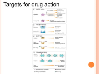 Targets for drug action
 