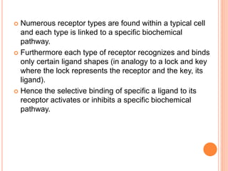  Numerous receptor types are found within a typical cell
and each type is linked to a specific biochemical
pathway.
 Furthermore each type of receptor recognizes and binds
only certain ligand shapes (in analogy to a lock and key
where the lock represents the receptor and the key, its
ligand).
 Hence the selective binding of specific a ligand to its
receptor activates or inhibits a specific biochemical
pathway.
 