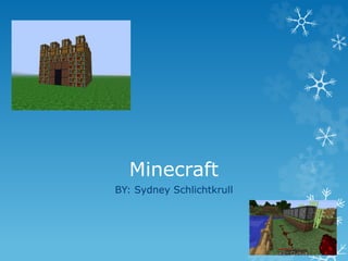 Minecraft
BY: Sydney Schlichtkrull
 