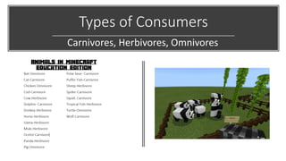 Types of Consumers
Carnivores, Herbivores, Omnivores
 
