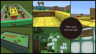 Plant and
Animal Cells
 