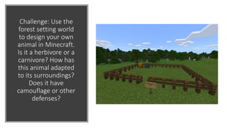 Challenge: Use the
forest setting world
to design your own
animal in Minecraft.
Is it a herbivore or a
carnivore? How has
this animal adapted
to its surroundings?
Does it have
camouflage or other
defenses?
 