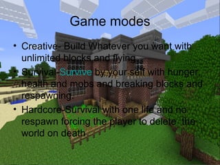 Minecraft project