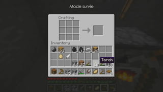 Confidential – all rights reserved Be Angels © 2014
Mode survie
 