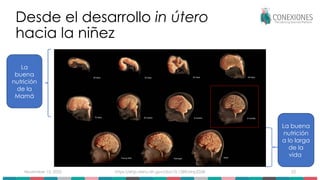 November 15, 2025 https://ehp.niehs.nih.gov/doi/10.1289/ehp2268 23
Desde el desarrollo in útero
hacia la niñez
La
buena
nutrición
de la
Mamá
La buena
nutrición
a lo larga
de la
vida
 