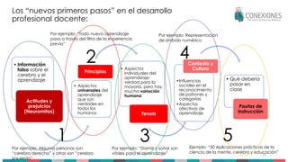 • Información
falsa sobre el
cerebro y el
aprendizaje
Actitudes y
prejuicios
(Neuromitos)
• Aspectos
universales del
aprendizaje
que son
verdades en
todos los
humanos
Principios
• Aspectos
individuales del
aprendizaje;
verdad para la
mayoría, pero hay
mucha variación
humana
Tenets
•Influencias
sociales en el
reconocimiento
de patrones y
categorías
•Aspectos
afectivos de
aprendizaje
Contexto y
Cultura
• Qué debería
pasar en
clase
Pautas de
instrucción
Los “nuevos primeros pasos” en el desarrollo
profesional docente:
35
Tokuhama-Espinosa 2017
1
2
3
4
5
Por ejemplo: Algunas personas son
“cerebro derecho” y otras son ”cerebro
izquierdo”
Por ejemplo: “Todo nuevo aprendizaje
pasa a través del filtro de la experiencia
previa”
Por ejemplo: “Dormir y soñar son
vitales para el aprendizaje”
Por ejemplo: Representación
de símbolo numérico
Ejemplo: “50 Aplicaciones prácticas de la
ciencia de la mente, cerebro y educación”
 