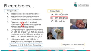 39
El cerebro es…
A. Responsable de las emociones
B. Responsable del pensamiento
C. Controla todo el comportamiento
D. Fijo en su potencial desde el
nacimiento basado en los genes
heredados de los padres.
E. Compuesto por aproximadamente
un 60% de grasa y un 40% de agua,
proteínas, carbohidratos y sales; en
forma de células, neuronas y glial.
F. Utiliza alrededor del 20% de la
energía consumida por el cuerpo
A. Un músculo
B. Un órgano
C. Un tejido
https://interestingengineering.com/science/watch-a-neuroanatomist-explain-the-human-brain-with-a-fresh-brain-in-her-hands ;
https://www.verywellmind.com/how-big-is-the-brain-2794888 ; https://www.ninds.nih.gov/health-information/public-education/brain-basics/brain-basics-
know-your-brain#:~:text=The%20brain%20and%20the%20rest,way%20down%20the%20spinal%20cord.
Pregunta 1: Pregunta 2:
Pregunta 1: A, B, C, E, F son Correctos
X
Pregunta 2: B es Correcto
 