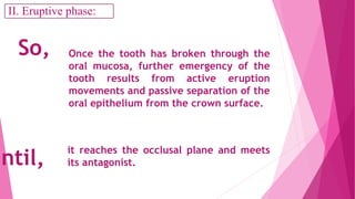 Once the tooth has broken through the
oral mucosa, further emergency of the
tooth results from active eruption
movements and passive separation of the
oral epithelium from the crown surface.
So,
Until,
it reaches the occlusal plane and meets
its antagonist.
II. Eruptive phase:
 
