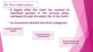 III. Post eruptive phase
• It begins after the tooth has reached its
functional position in the occlusal plane,
continues through the whole life of the tooth.
• Its movements divided into three categories:
Accommodation for
growth
Compensation for
occlusal wear
Accommodation for
interproximal wear
 