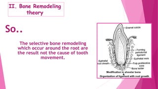 So..
The selective bone remodeling
which occur around the root are
the result not the cause of tooth
movement.
II. Bone Remodeling
theory
 