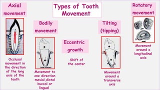 Types of Tooth
Movement
Axial
movement
Bodily
movement
Tilting
(tipping)
Rotatory
movement
Occlusal
movement in
the direction
of the long
axis of the
tooth
Movement to
one direction
mesial,distal
buccal or
lingual
Movement
around a
transverse
axis
Movement
around a
longitudinal
axis
Eccentric
growth
Shift of
the center
 