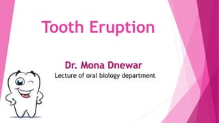 Tooth Eruption
Dr. Mona Dnewar
Lecture of oral biology department
 
