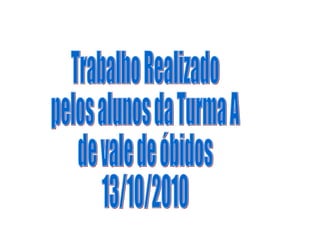 Trabalho Realizado  pelos alunos da Turma A de vale de óbidos 13/10/2010 