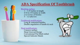 Toothbrush Modifications PLAQUE CONTROL | PPTX
