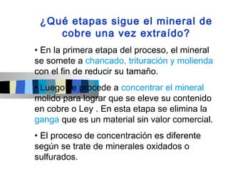 ¿Qué etapas sigue el mineral de
    cobre una vez extraído?
• En la primera etapa del proceso, el mineral
se somete a chancado, trituración y molienda
con el fin de reducir su tamaño.
• Luego se procede a concentrar el mineral
molido para lograr que se eleve su contenido
en cobre o Ley . En esta etapa se elimina la
ganga que es un material sin valor comercial.
• El proceso de concentración es diferente
según se trate de minerales oxidados o
sulfurados.
 