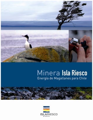 Minera Isla Riesco