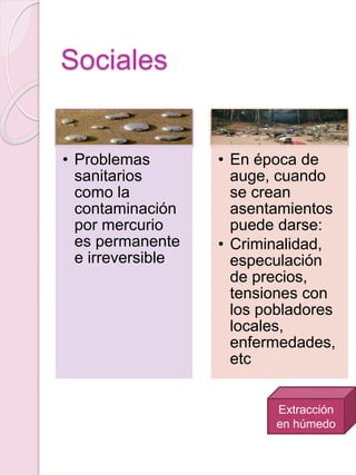 Sociales
• Problemas
sanitarios
como la
contaminación
por mercurio
es permanente
e irreversible
• En época de
auge, cuando
se crean
asentamientos
puede darse:
• Criminalidad,
especulación
de precios,
tensiones con
los pobladores
locales,
enfermedades,
etc
Extracción
en húmedo
 