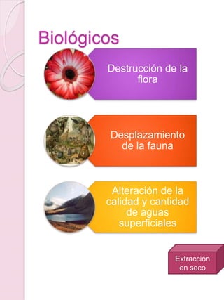Biológicos
Extracción
en seco
Destrucción de la
flora
Desplazamiento
de la fauna
Alteración de la
calidad y cantidad
de aguas
superficiales
 
