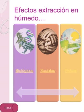 Efectos extracción en
húmedo…
Biológicos Sociales Físicos
Tipos
 