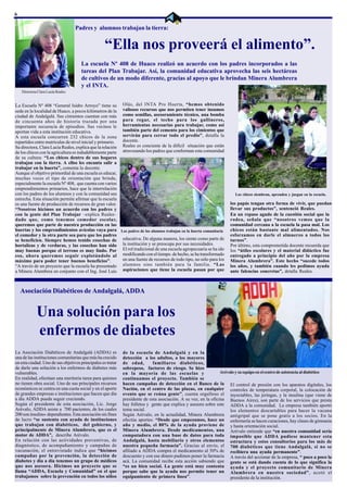 6

                                   Padres y alumnos trabajan la tierra:


                                                   “Ella nos proveerá el alimento”.
                                     La escuela Nº 408 de Huaco realizó un acuerdo con los padres incorporados a las
                                     tareas del Plan Trabajar. Así, la comunidad educativa aprovecha las seis hectáreas
                                     de cultivos de un modo diferente, gracias al apoyo que le brindan Minera Alumbrera
                                     y el INTA.
    Directora Clara Lucía Reales


La Escuela Nº 408 “General Isidro Arroyo” tiene su           Olás, del INTA Pro Huerta, “hemos obtenido
sede en la localidad de Huaco, a pocos kilómetros de la      valiosos recursos que nos permiten tener insumos
ciudad de Andalgalá. Sus cimientos cuentan con más           como semillas, asesoramiento técnico, una bomba
de cincuenta años de historia trazada por una                para regar, el techo para los gallineros,
importante secuencia de episodios. Sus vecinos le            herramientas necesarias para trabajar, como así
aportan vida a esta institución educativa.                   también parte del cemento para los cimientos que
A esta escuela concurren 232 chicos de la zona               servirán para cerrar todo el predio”, detalla la
repartidos entre matrículas de nivel inicial y primario.     docente.
Su directora, Clara Lucía Reales, explica que la relación    Reales es conciente de la difícil situación que están
de los chicos con la agricultura es indudablemente parte     atravesando los padres que conforman esta comunidad
de su cultura: “Los chicos dentro de sus hogares
trabajan con la tierra. A ellos les encanta salir a
trabajar en la huerta”, comenta la docente.
Aunque el objetivo primordial de una escuela es educar,
muchas veces el tipo de orientación que brinda,
especialmente la escuela Nº 408, que cuenta con varios
emprendimientos primarios, hace que la interrelación
con los padres de los alumnos y con la comunidad sea                                                                    Los chicos siembran, aprenden y juegan en la escuela.
estrecha. Esta situación permite afirmar que la escuela
es una fuente de producción de recursos de gran valor.                                                                los papás tengan otra forma de vivir, que puedan
“Nosotros hicimos un acuerdo con los padres y                                                                         llevar sus productos”, sentenció Reales.
con la gente del Plan Trabajar –explica Reales–                                                                       En un repaso agudo de la cuestión social que la
dado que, como tenemos comedor escolar,                                                                               rodea, señala que “nosotros vemos que la
queremos que parte de nuestra producción en las                                                                       comunidad cercana a la escuela la pasa mal. Los
huertas y los emprendimientos avícolas vaya para Los padres de los alumnos trabajan en la huerta comunitaria          chicos están bastante mal alimentados. Nos
el comedor y la otra parte sea para que los padres                                                                    esforzamos en darle el almuerzo a todos los
se beneficien. Siempre hemos tenido cosechas de educativa. De alguna manera, los siente como parte de                 turnos”.
hortalizas y de verduras, y las cosechas han sido la institución y se preocupa por sus necesidades.                   Por último, esta comprometida docente recuerda que
muy buenas porque el terreno es muy lindo. Por El rol tradicional de una escuela agropecuaria se ha ido               los “útiles escolares y el material didáctico fue
eso, ahora queremos seguir explotándolo al modificando con el tiempo. de hecho, se ha transformado                    entregado a principio del año por la empresa
máximo para poder tener buenos beneficios”.               en una fuente de recursos de todo tipo, no sólo para los    Minera Alumbrera”. Este hecho “sucede todos
“A través de un proyecto que la escuela ha presentado alumnos sino también para la familia. “Las                      los años, y también cuando les pedimos ayuda
a Minera Alumbrea en conjunto con el Ing. José Luis aspiraciones que tiene la escuela pasan por que                   ante falencias concretas”, detalla Reales.



    Asociación Diabéticos de Andalgalá, ADDA


             Una solución para los
             enfermos de diabetes
La Asociación Diabéticos de Andalgalá (ADDA) es              de la escuela de Andalgalá y en la
una de las instituciones comunitarias que más ha crecido     detección a los adultos, a los mayores
en esta ciudad. Uno de sus objetivos principales es tratar   de edad,        familiares diabéticos,
de darle una solución a los enfermos de diabetes más         sobrepeso, factores de riesgo. Se hizo
vulnerables.                                                 en la mayoría de las escuelas y                     Arévalo y su equipo en el centro de asistencia al diabético
En realidad, efectúan una meritoria tarea para quienes       continuamos el proyecto. También se
no tienen obra social. Uno de sus principales recursos       hacen campañas de detección en el Banco de la El control de presión con los aparatos digitales, los
económicos se centra en una cuota social y en el aporte      Nación, en el centro de las plazas, en cualquier controles de temperatura corporal, la colocación de
de grandes empresas e instituciones que hacen que día        evento que se reúna gente”, cuenta orgulloso el inyectables, las jeringas, y la insulina (que viene de
a día ADDA pueda seguir creciendo.                           presidente de esta asociación. A su vez, en la oficina Buenos Aires), son parte de los servicios que presta
Según el presidente de esta asociación, Lic. Jorge           hay folletos y gente que explica y asesora sobre este ADDA a la comunidad. La empresa también aportó
Arévalo, ADDA asiste a 700 pacientes, de los cuales          tema social.                                             los elementos descartables para hacer la vacuna
200 son insulino- dependientes. Esta asociación sin fines    Según Arévalo, en la actualidad, Minera Alumbrera antigripal que se pone gratis a los socios. En la
de lucro “se sustenta con ayuda de instituciones             efectúa aportes: “Desde que empezamos, hace un enfermería se hacen curaciones, hay clases de gimnasia
que trabajan con diabéticos, del gobierno, y                 año y medio, el 80% de la ayuda proviene de y hasta orientación social.
principalmente de Minera Alumbrera, que es el                Minera Alumbrera. Desde medicamentos, una Arévalo entiende que “en nuestra comunidad sería
motor de ADDA”, describe Arévalo.                            computadora con una base de datos para toda imposible que ADDA pudiese mantener esta
En relación con las actividades preventivas, de              Andalgalá, hasta mobiliario y otros elementos estructura y estos consultorios para los más de
diagnóstico, de acompañamiento y campañas de                 nuestra pequeña farmacia”. Gracias al envío, el 700 diabéticos que tiene Andalgalá, si no se
vacunación, el entrevistado indica que “hicimos              afiliado a ADDA compra el medicamento al 50% de recibiera una ayuda permanente”.
campañas por la prevención, la detección de                  descuento y con ese dinero pudimos poner la farmacia A través del accionar de la empresa, “ poco a poco la
diabetes y día a día tenemos un grupo de médicos             acá. La comunidad recibe esta acción sabiendo que gente se está dando cuenta de lo que significa la
que nos asesora. Hicimos un proyecto que se                  “es un bien social. La gente está muy contenta ayuda y el proyecto comunitario de Minera
llama “ADDA, Escuela y Comunidad” en el que                  porque sabe que la ayuda nos permite tener un Alumbrera en nuestra sociedad”, acotó el
trabajamos sobre la prevención en todos los niños            equipamiento de primera línea”.                          presidente de la institución.
 