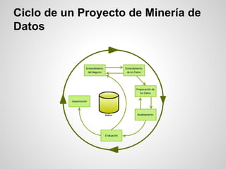 Ciclo de un Proyecto de Minería de
Datos
 