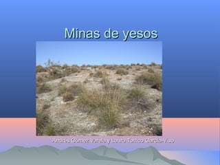 Minas de yesosMinas de yesos
Andrés Gómez Varela y Laura Torrico García-VisoAndrés Gómez Varela y Laura Torrico García-Viso
 