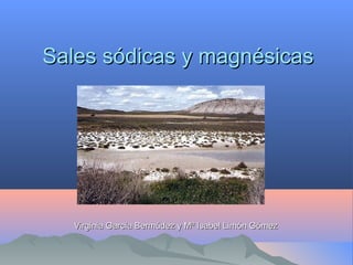 Sales sódicas y magnésicasSales sódicas y magnésicas
Virginia García Bermúdez y Mª Isabel Limón GómezVirginia García Bermúdez y Mª Isabel Limón Gómez
 