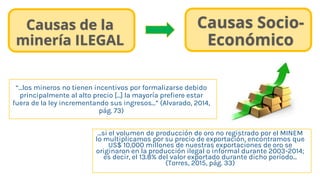 Causas de la
minería ILEGAL
“…los mineros no tienen incentivos por formalizarse debido
principalmente al alto precio […] la mayoría prefiere estar
fuera de la ley incrementando sus ingresos…” (Alvarado, 2014,
pág. 73)
…si el volumen de producción de oro no registrado por el MINEM
lo multiplicamos por su precio de exportación, encontramos que
US$ 10,000 millones de nuestras exportaciones de oro se
originaron en la producción ilegal o informal durante 2003-2014;
es decir, el 13.8% del valor exportado durante dicho período...
(Torres, 2015, pág. 33)
Causas Socio-
Económico
 