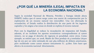 ¿POR QUÉ LA MINERÍA ILEGAL IMPACTA EN
LA ECONOMÍA NACIONAL?
Según la sociedad Nacional de Minería, Petróleo y Energía (desde ahora
SNMPE) indica que el canon surge como una suerte de compensación por la
explotación de un recurso natural (no renovable). Una vez efectuada la
recaudación, el Estado realiza la distribución de una parte de los ingresos
captados y los asigna a las zonas en donde se explota el recurso natural.
Pero con la ilegalidad se reduce la recaudación de impuestos del Estado,
además, al no recibirse los aportes económicos correspondientes al canon
minero, no se paga el derecho de vigencia ni penalidad, entre otros. Como
ejemplo, se estimó que, en 2008, Madre de Dios produjo 16.4 toneladas (16400
kg) de oro por un valor estimado de casi 469 millones de dólares americanos,
pero recibiendo como canon minero únicamente S/. 47,800. Esto hace que
afecte a la economía nacional directamente.
 