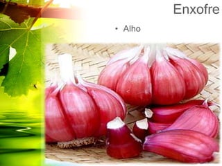 Enxofre
• Alho
 