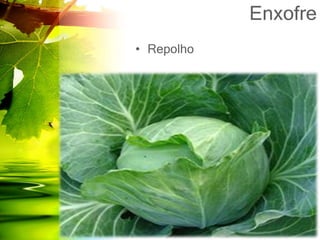 Enxofre
• Repolho
 