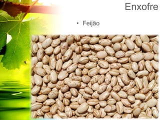 Enxofre
• Feijão
 
