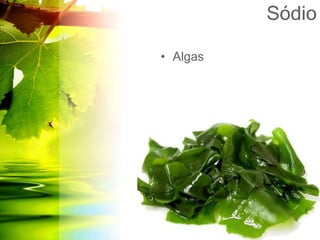 Sódio
• Algas
 